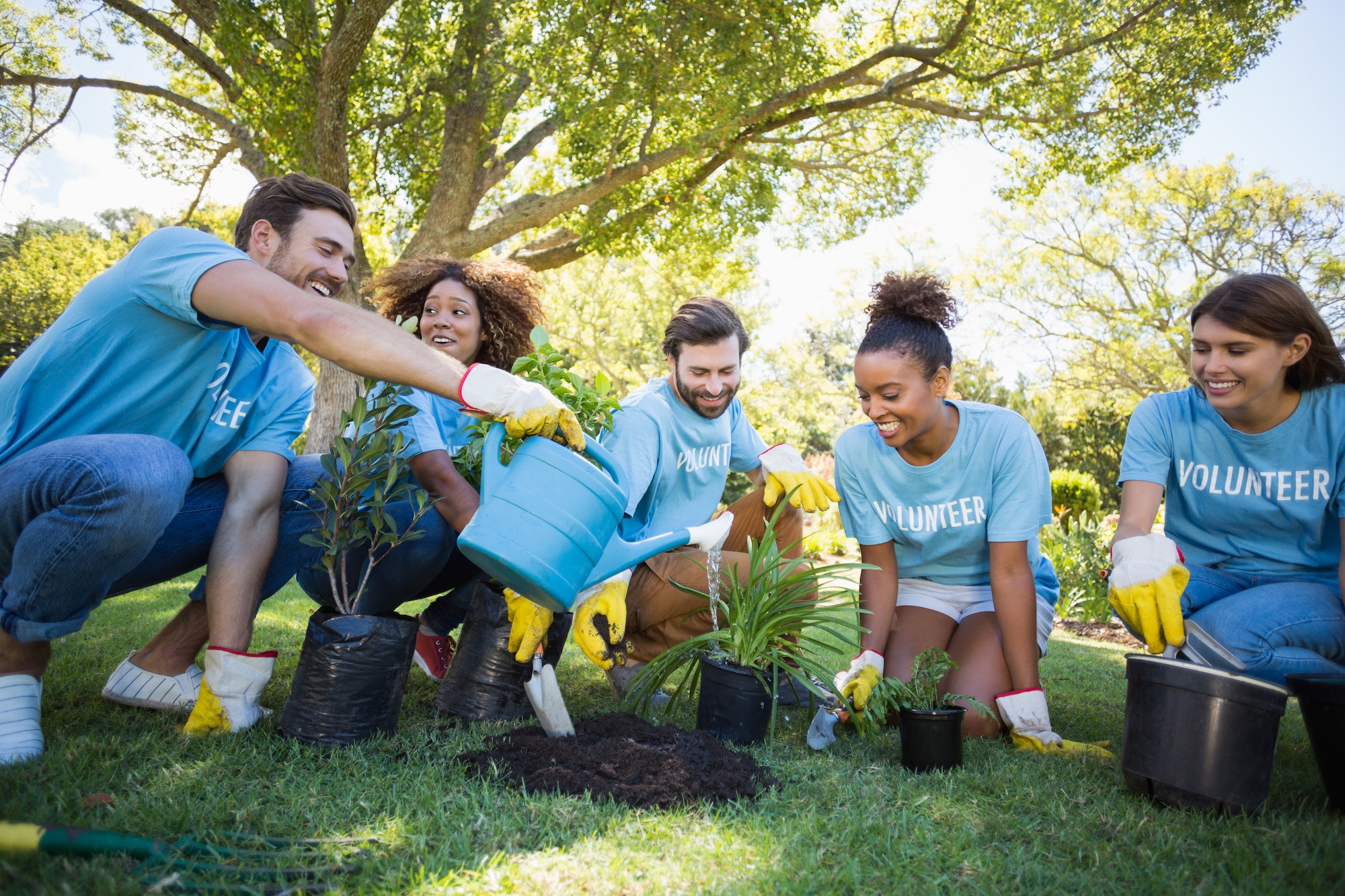 group-of-volunteer-planting.jpg group-of-volunteer-planting.jpg